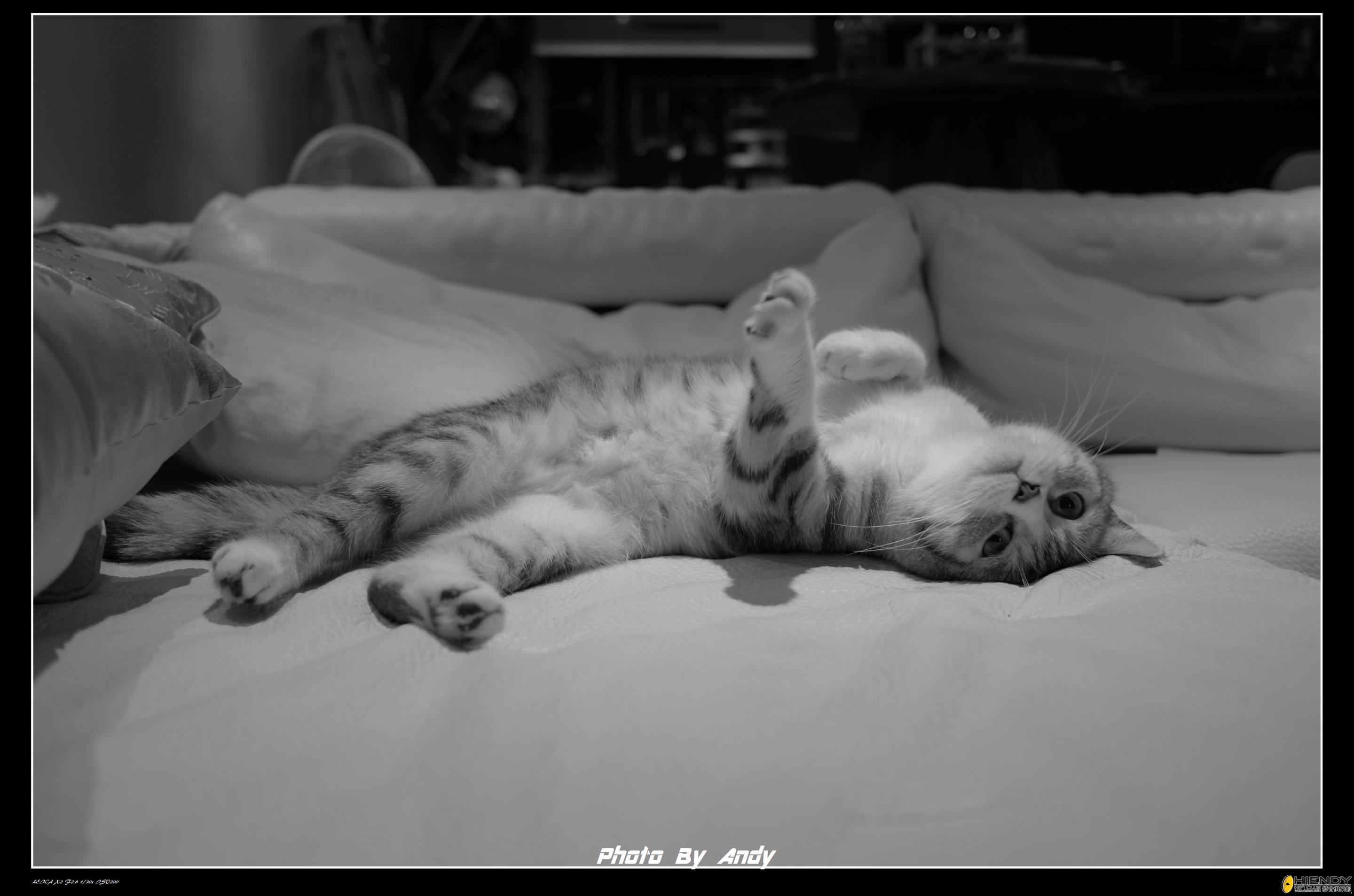 leica2 o.jpg