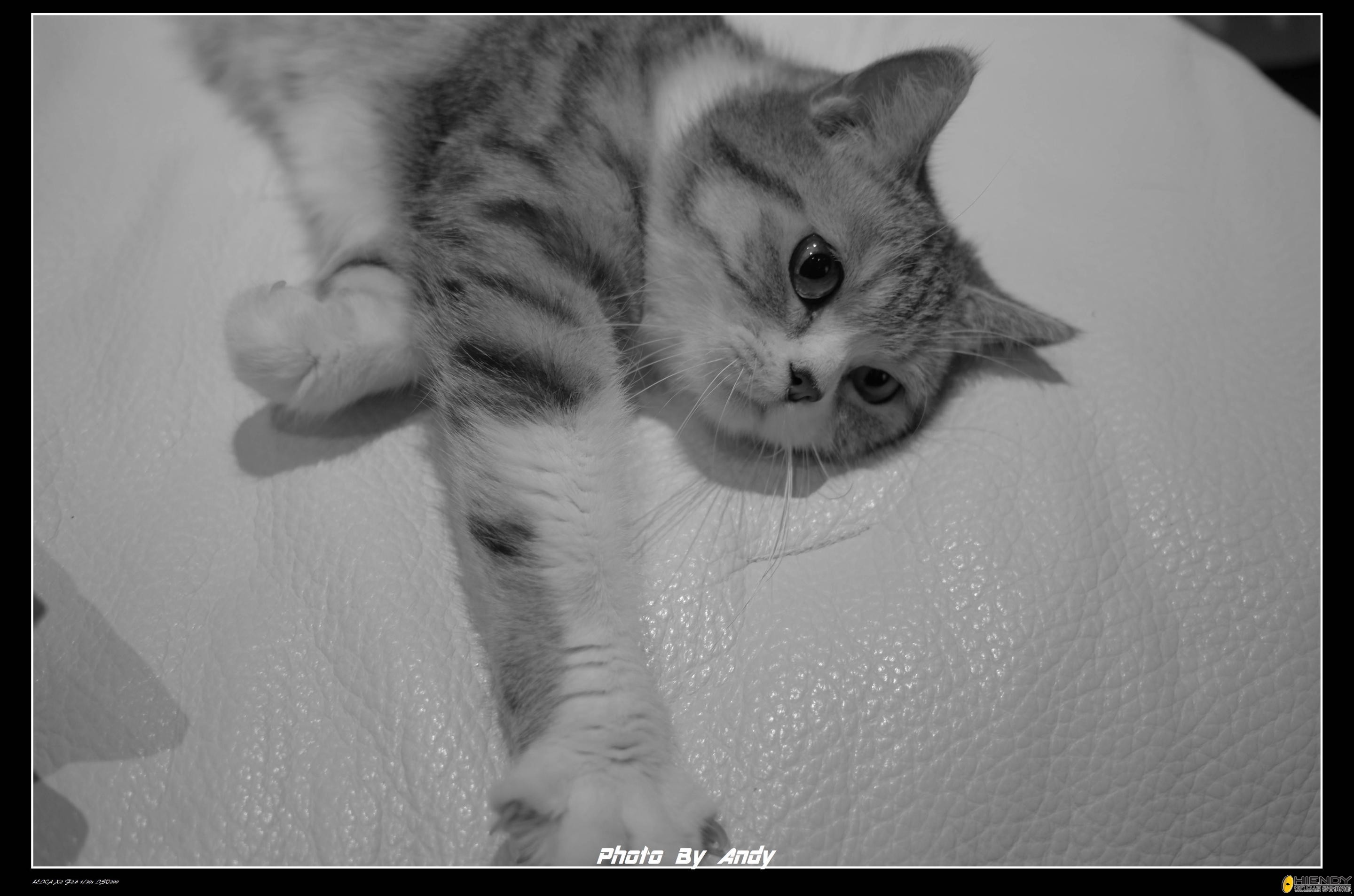 leica2 n.jpg