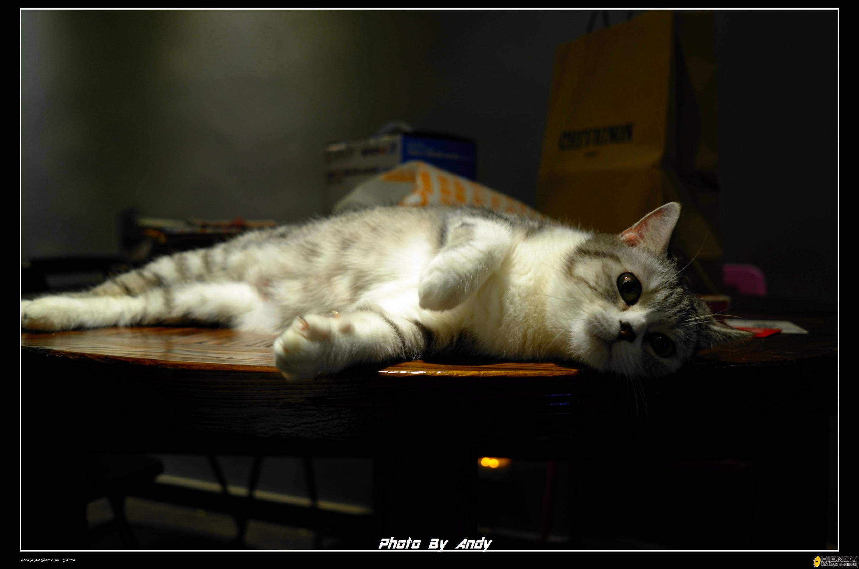 leica2 q.jpg