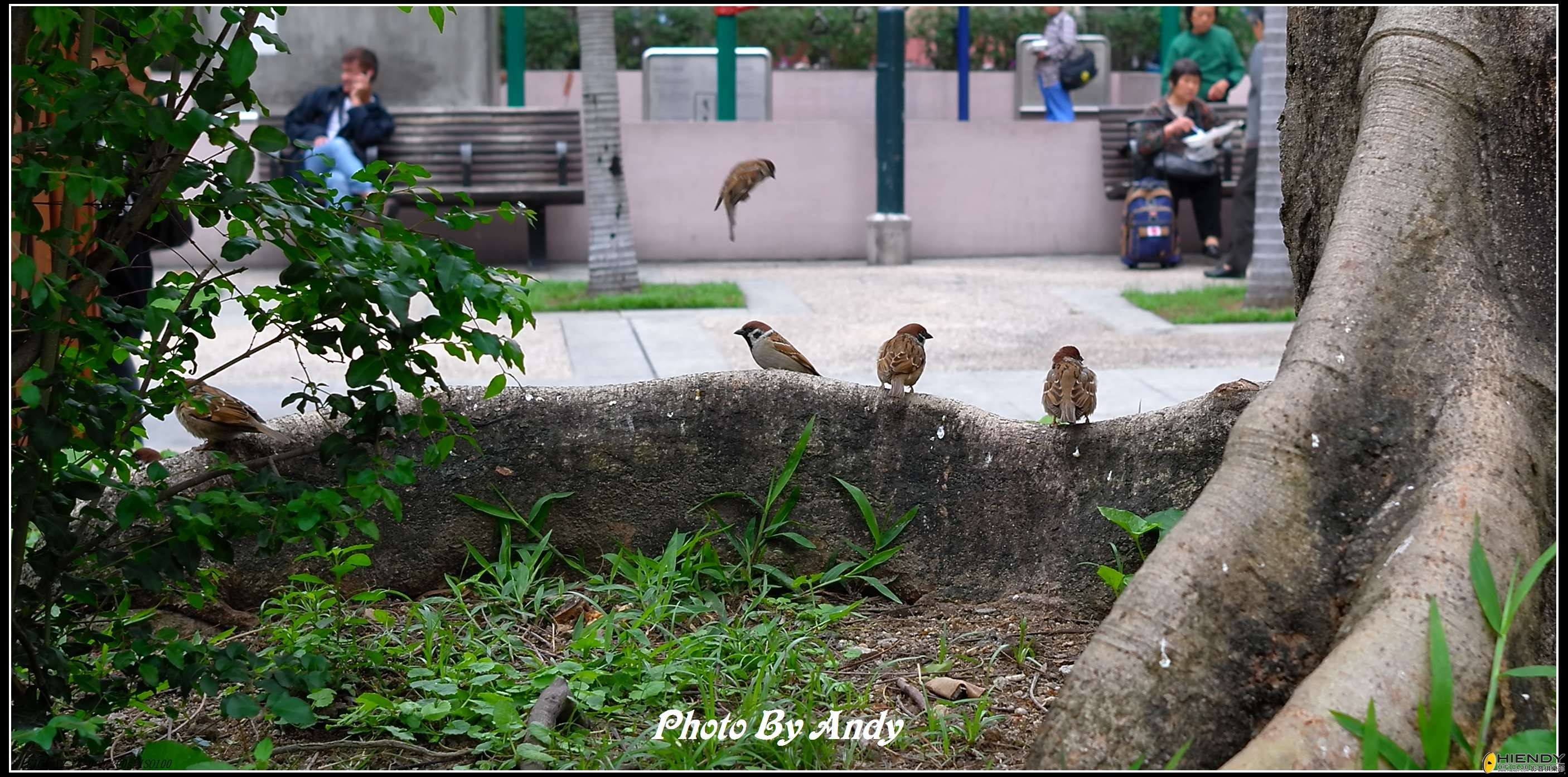 Leica 8 d.jpg