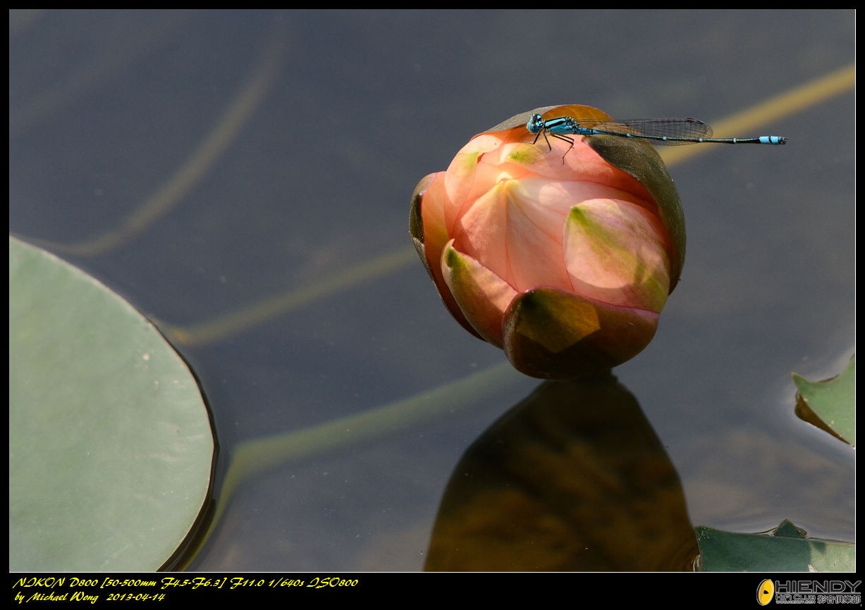 D88_8070.jpg