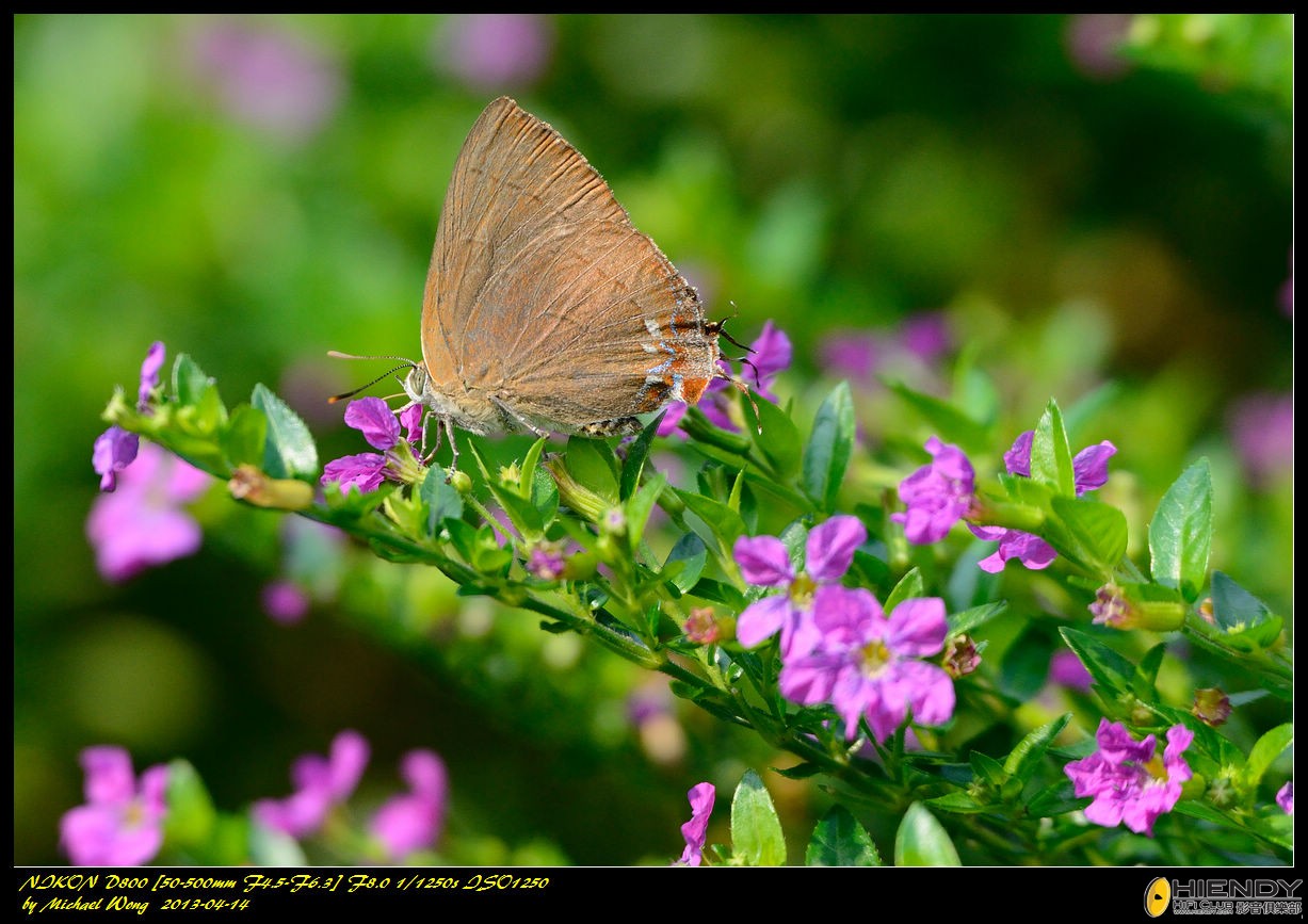 D88_8130.jpg