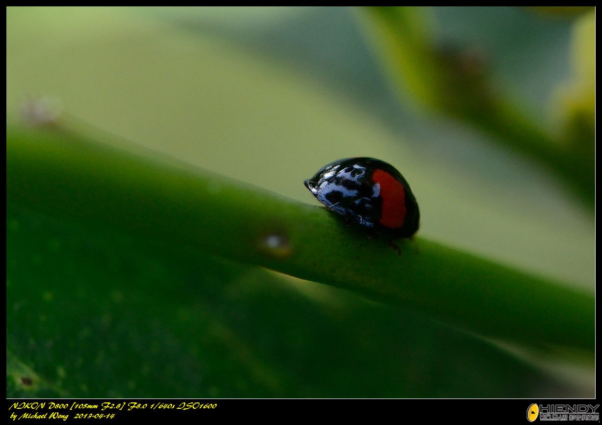 D88_8362.jpg