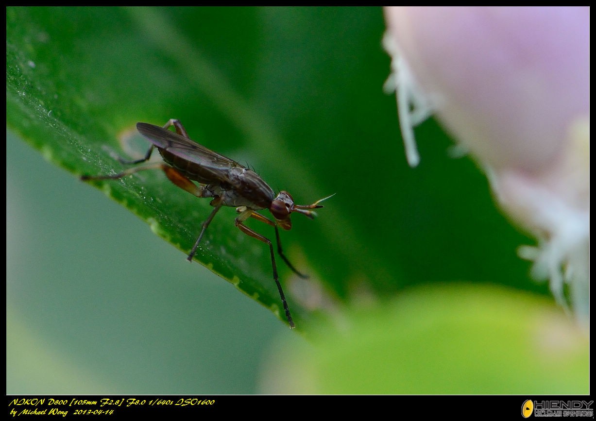 D88_8368.jpg