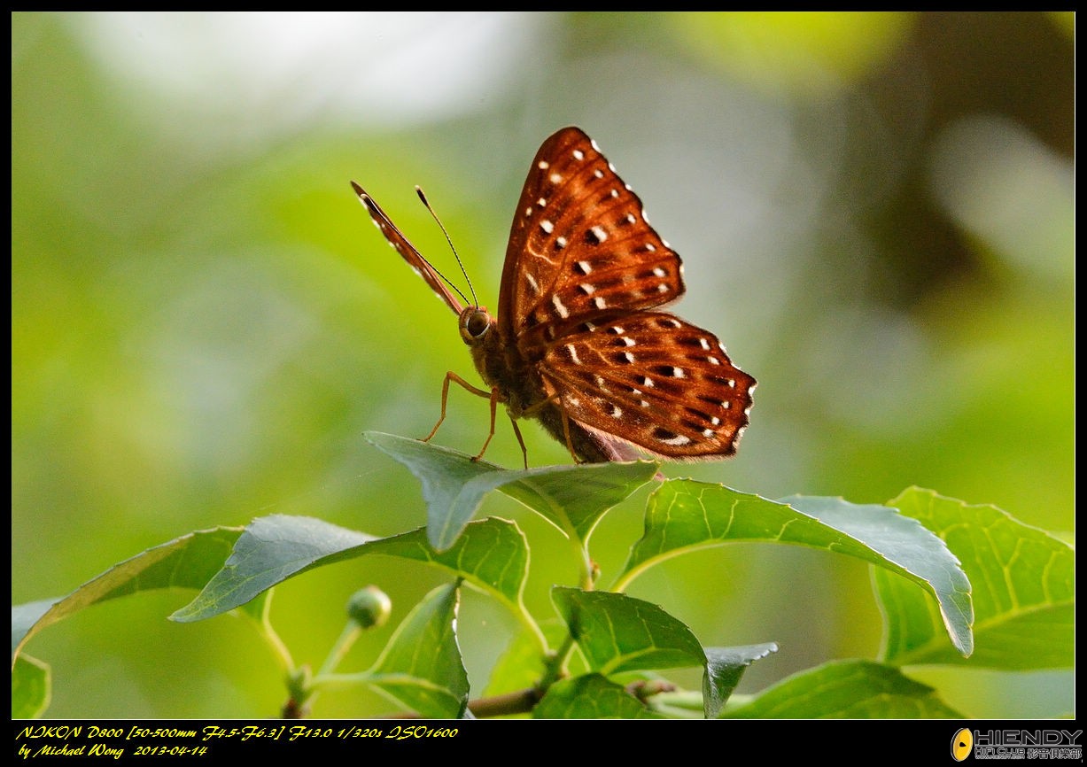 D88_8574.jpg