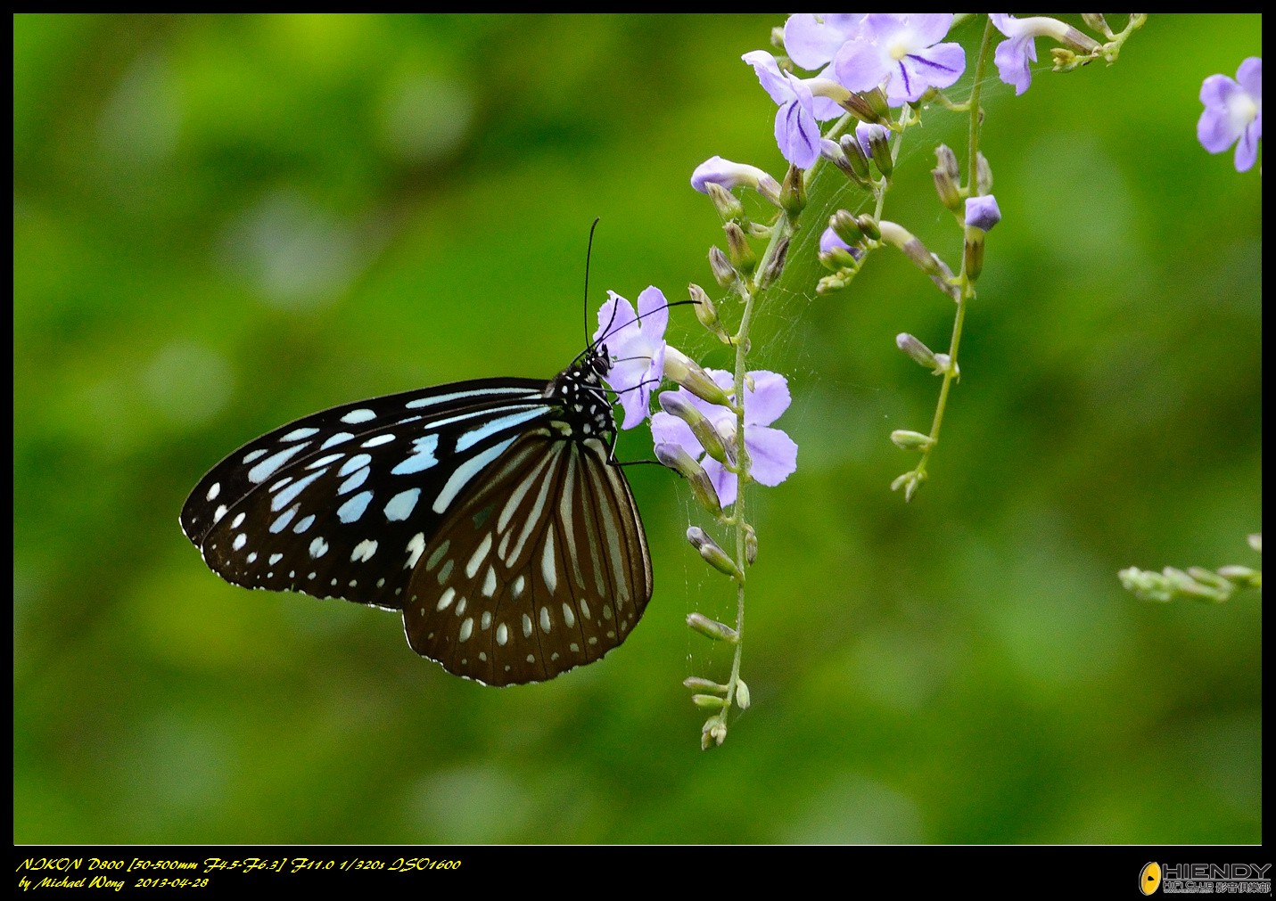 D88_8751.jpg