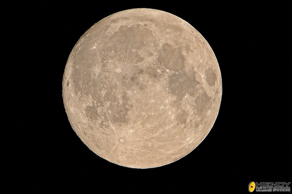 conew__ccw5018 copy.jpg