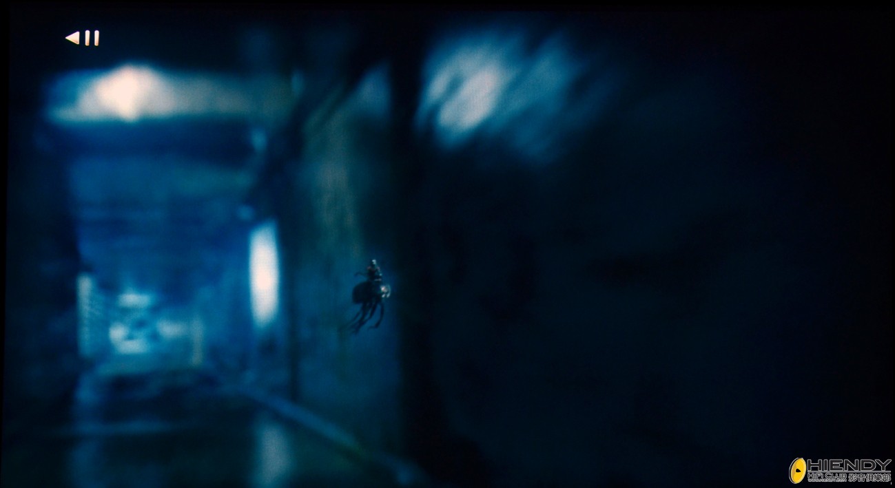 DSC_7395.JPG