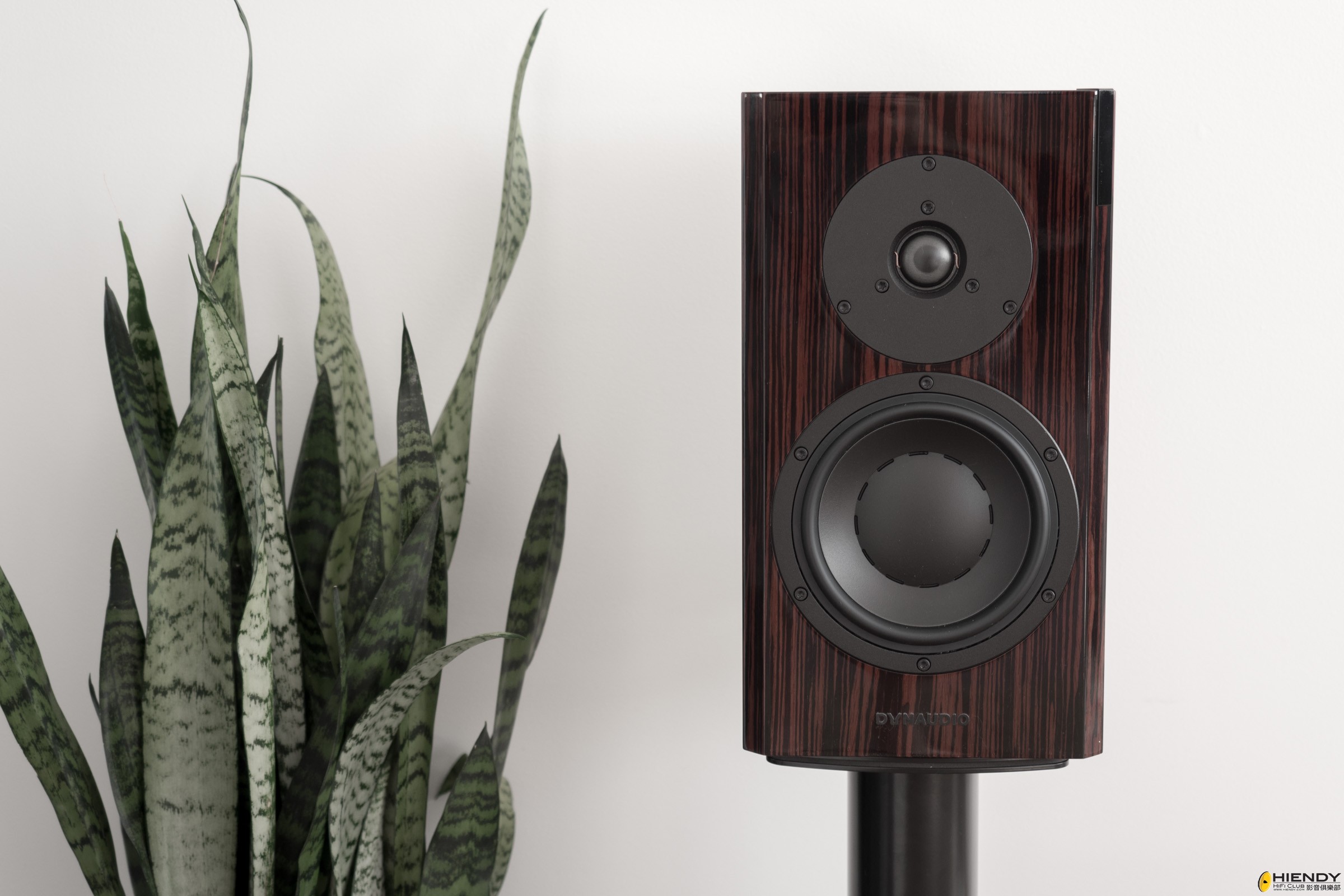 dynaudio_focus_20_xd-5.jpg