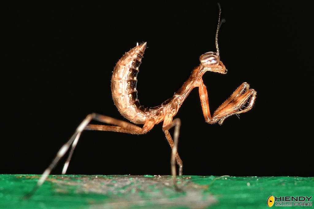 conew_cpc_1440_00001 copy.jpg