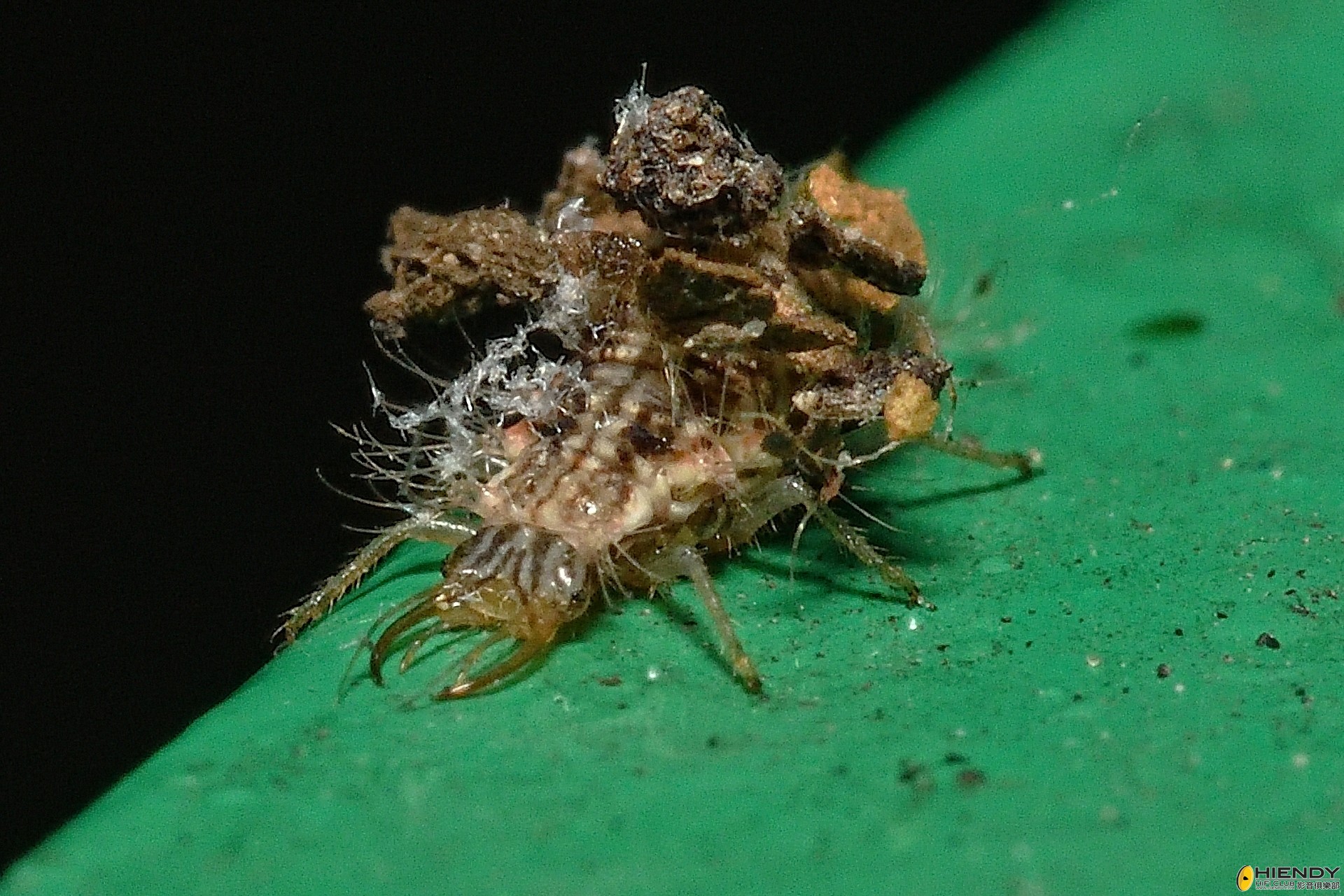 CPC_0657_00001 copy.jpg