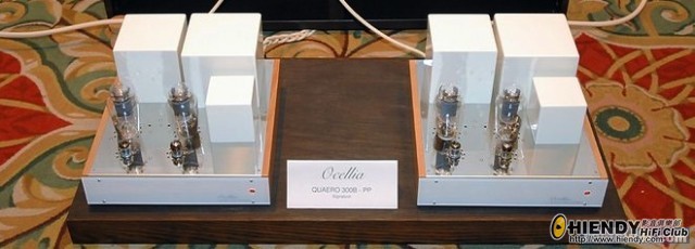 ocellia amp.jpg