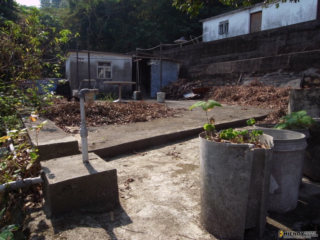 R0010490 [1024x768].JPG