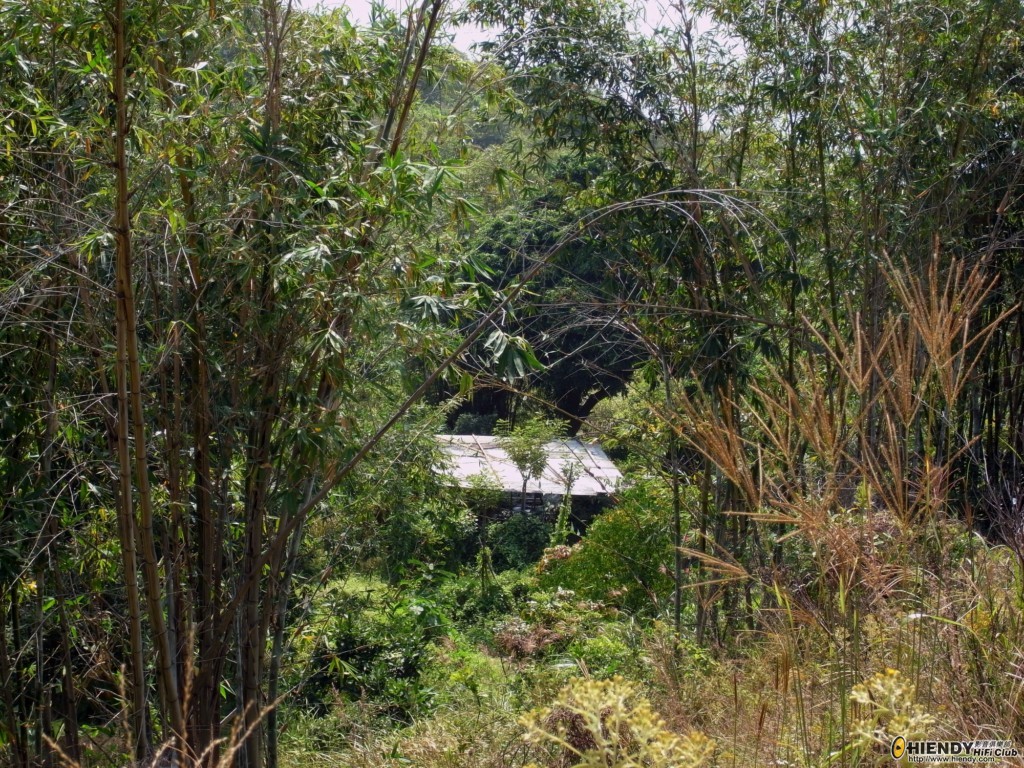 R0010572 [1024x768].JPG