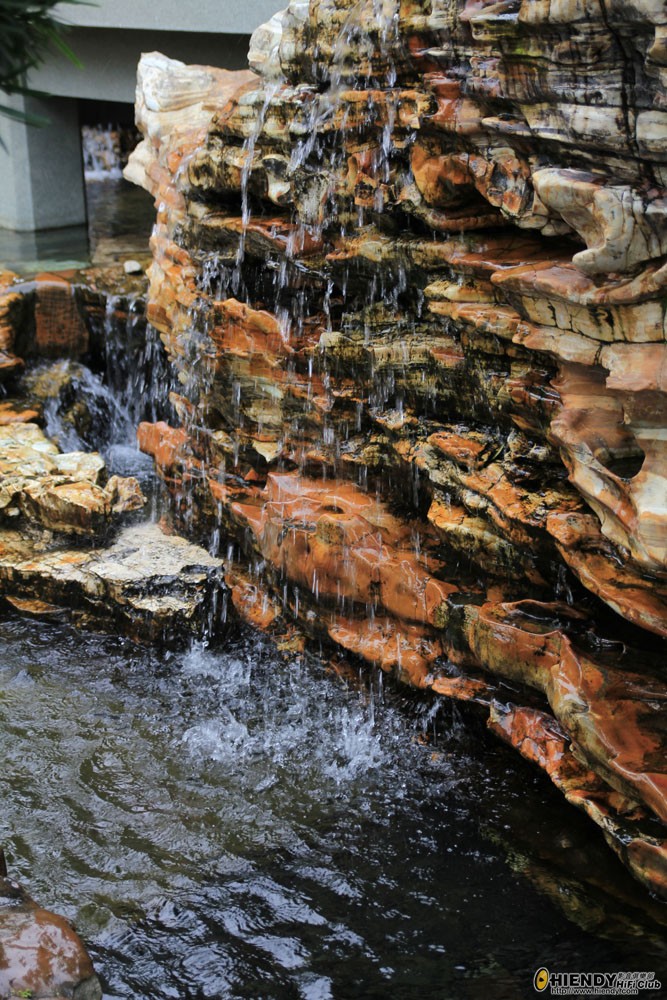 IMG_3303.jpg