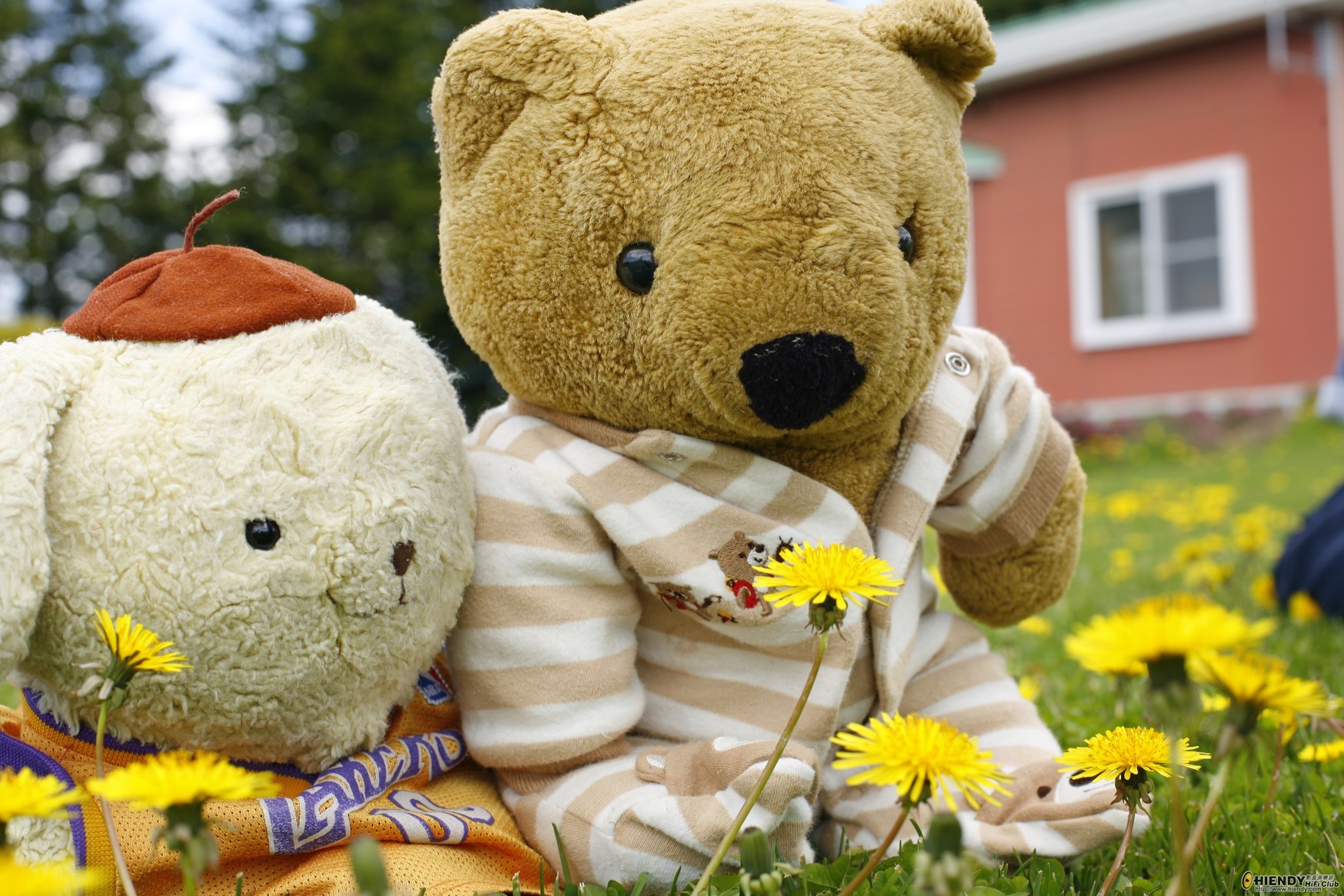 _MG_9093.jpg