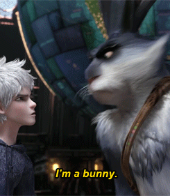2.gif