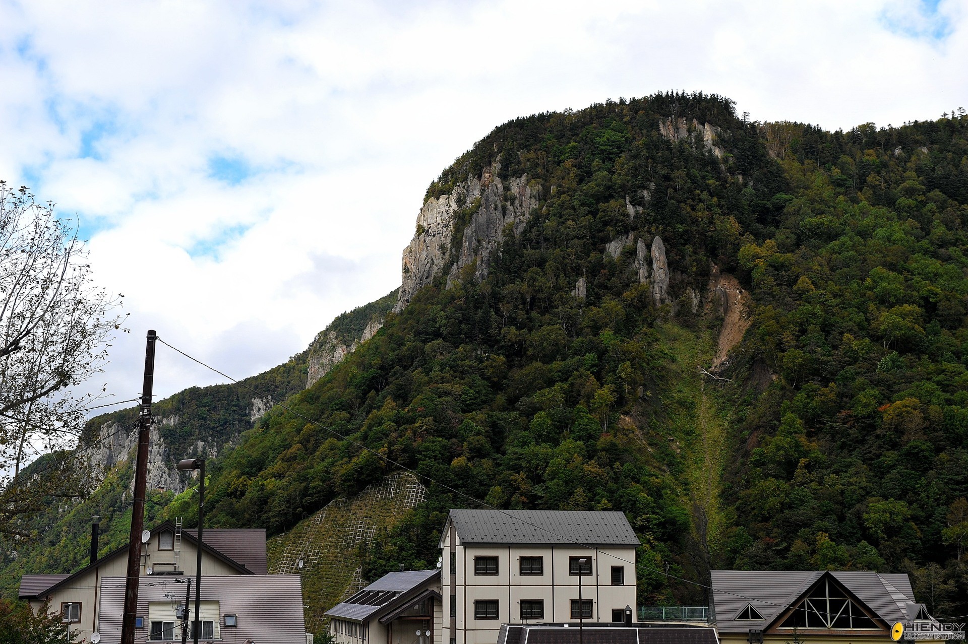 DSC_2225.JPG