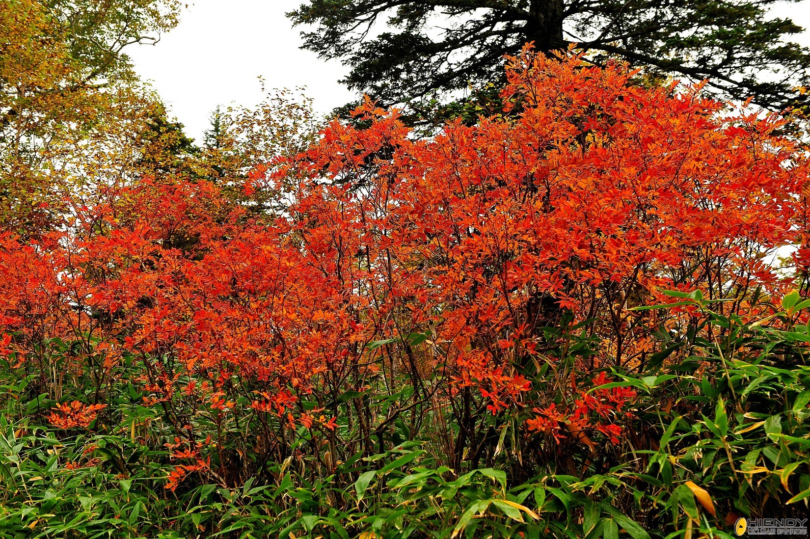 DSC_2301.JPG