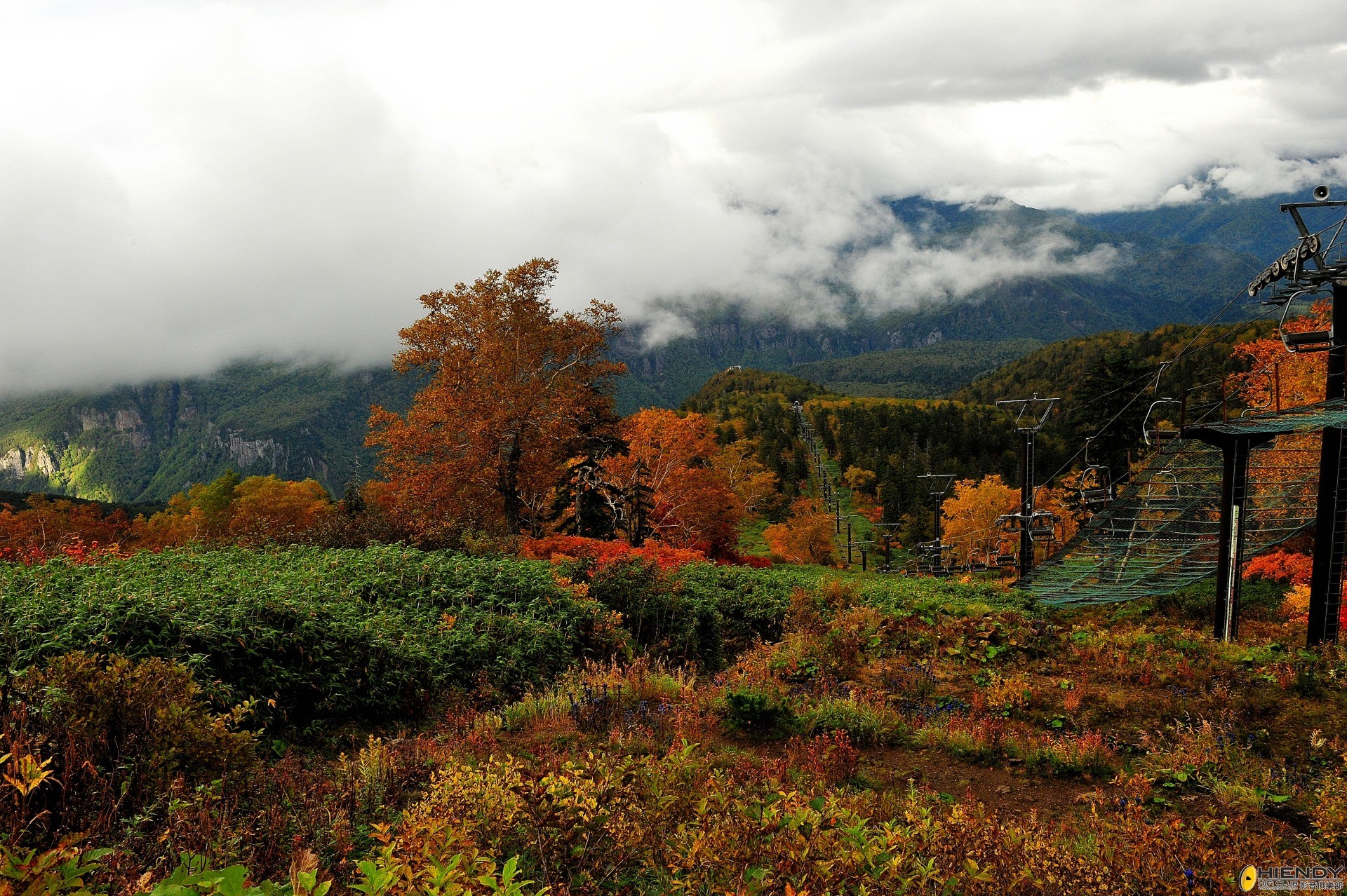 DSC_2341.JPG