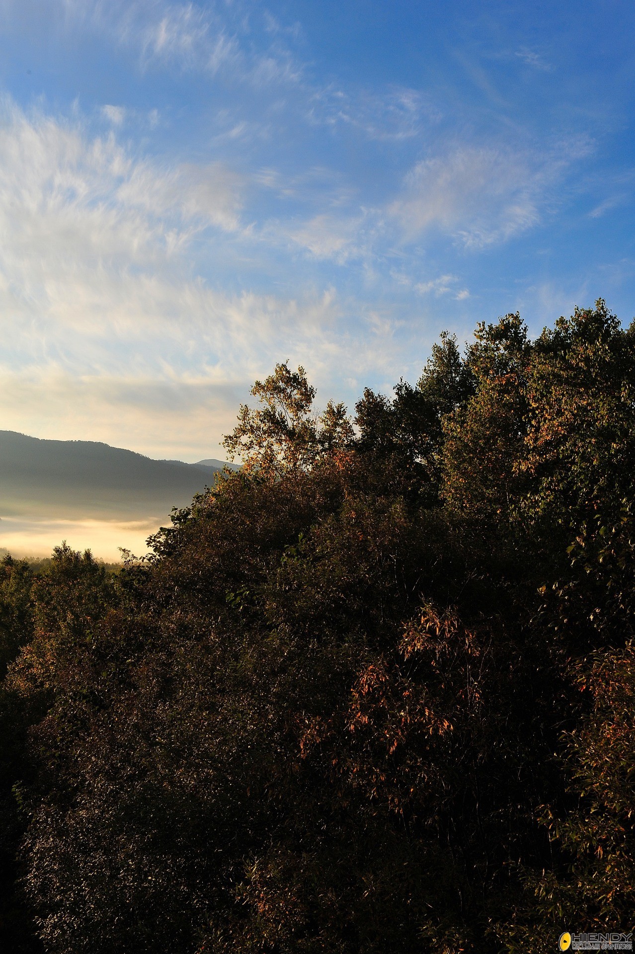 DSC_2796.JPG