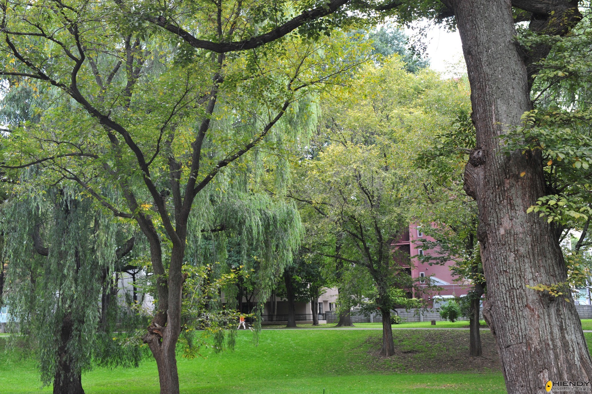 DSC_2913.JPG