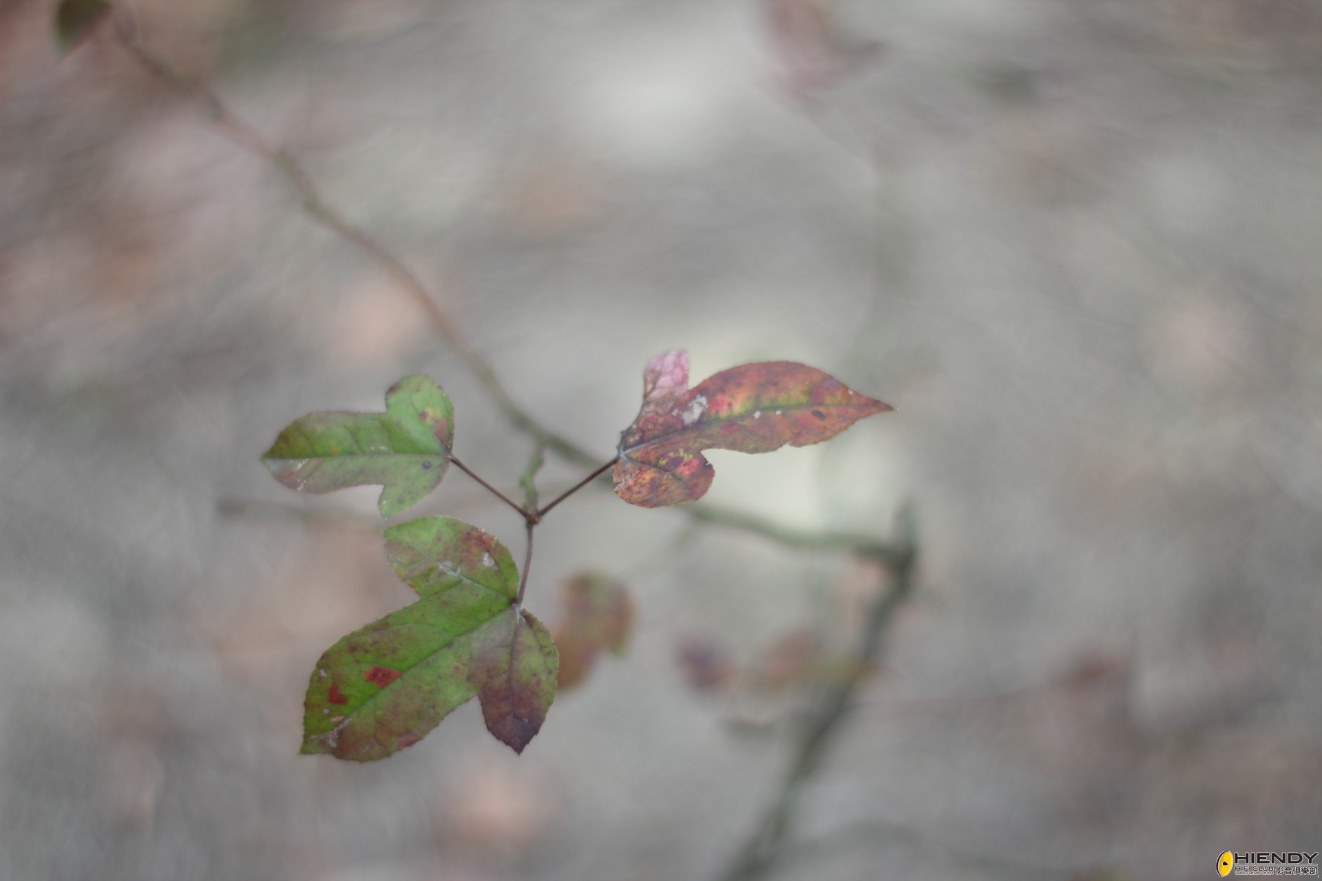 DPP_2209.JPG