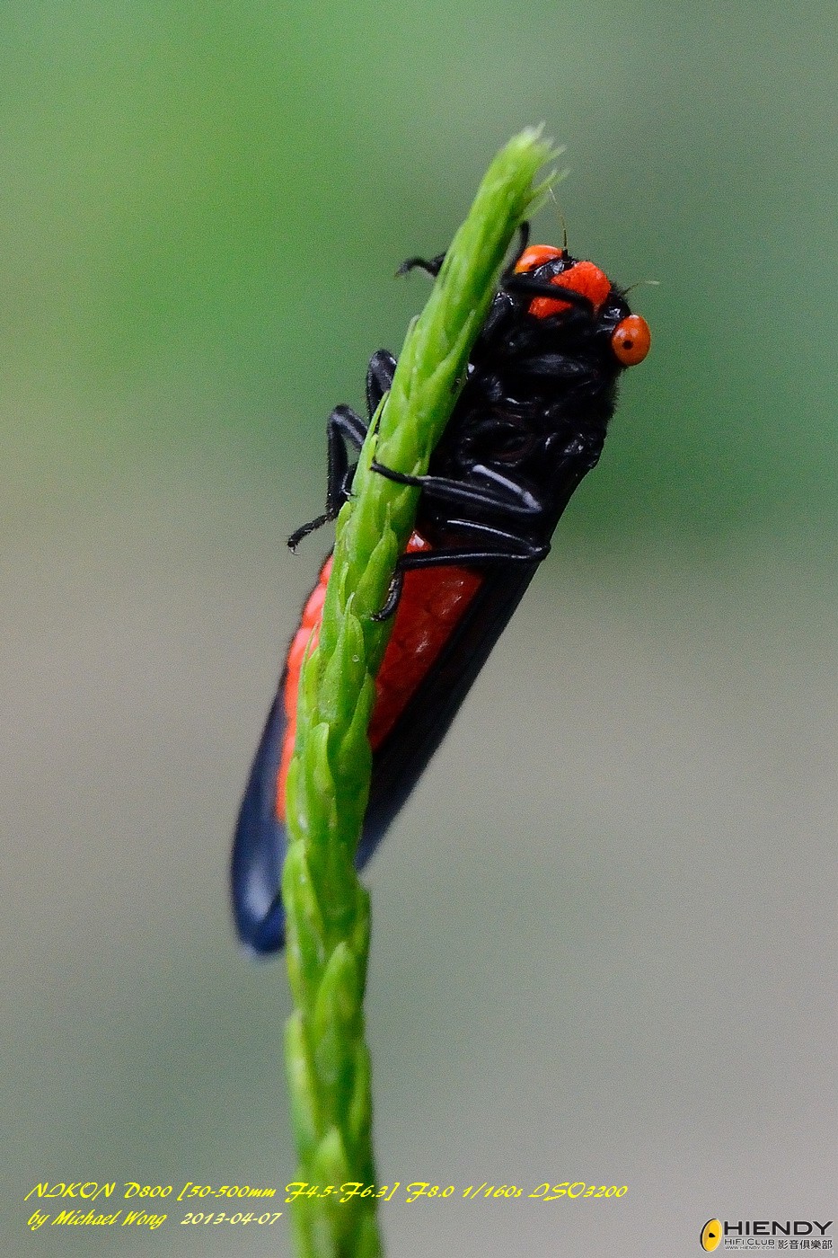 D88_7744.jpg