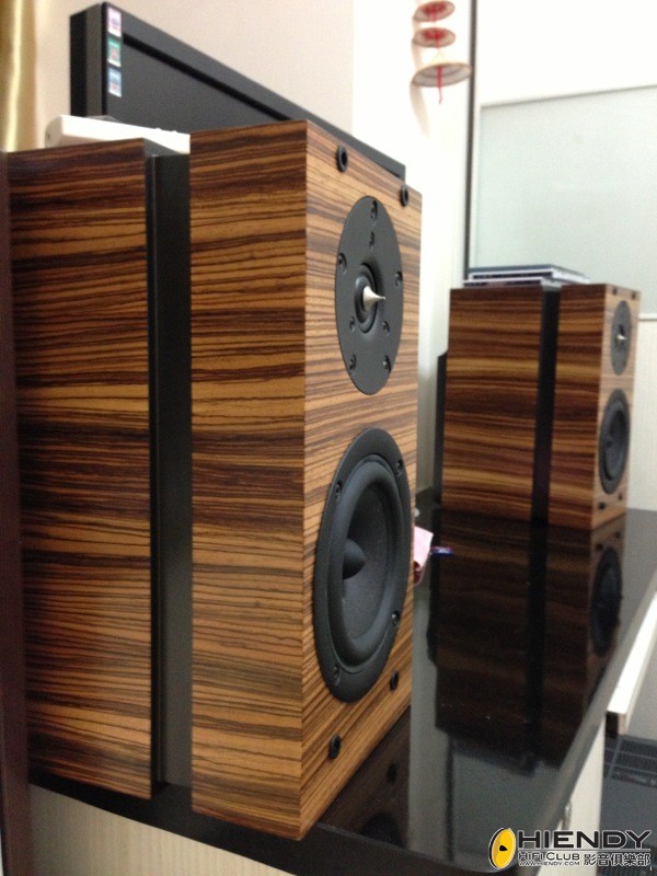 Speaker side.JPG
