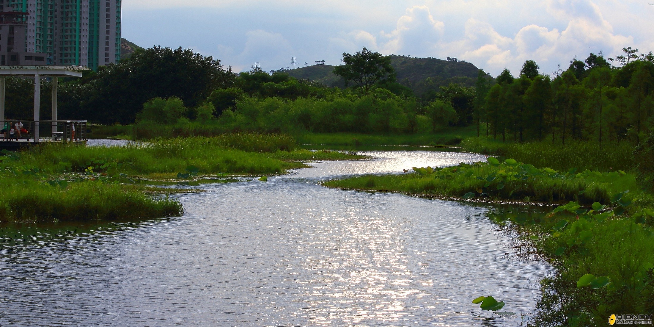 DPP_0820.JPG