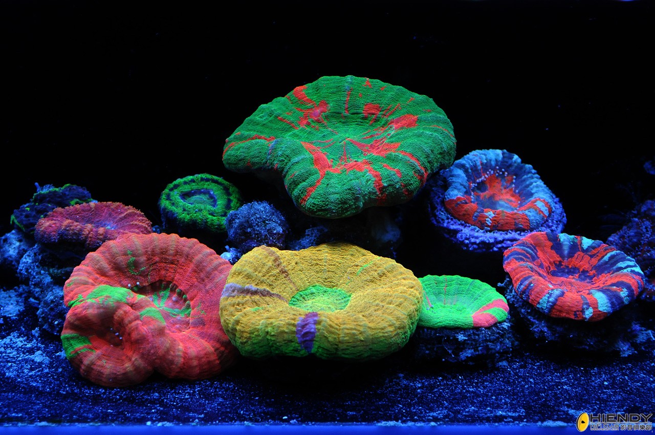DSC_5709.JPG