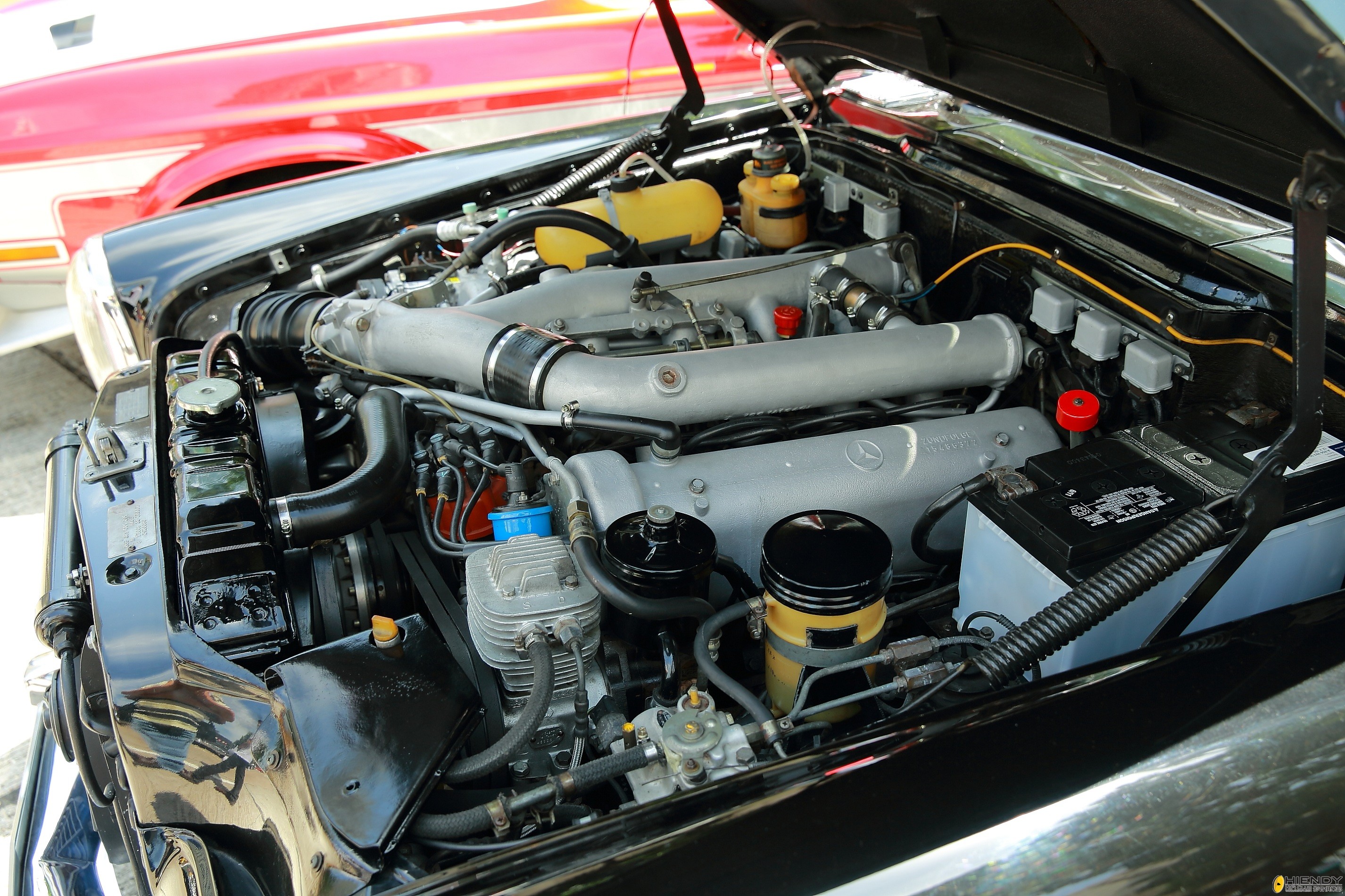 DPP_2848.JPG