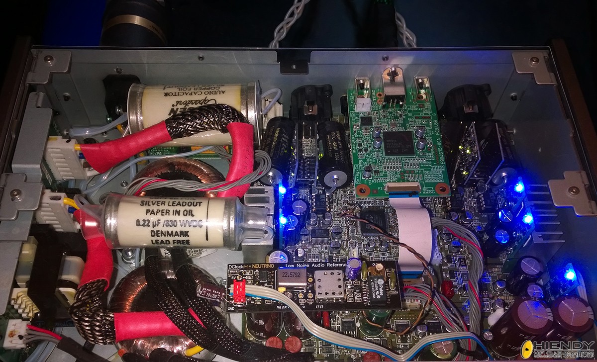 BirdTeac501.jpg
