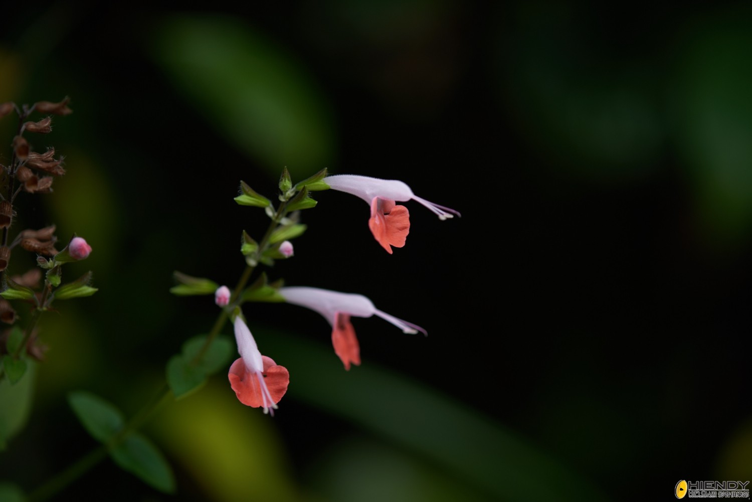 web__DSC1182.jpg
