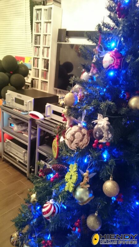 IMG_201412242415.jpg