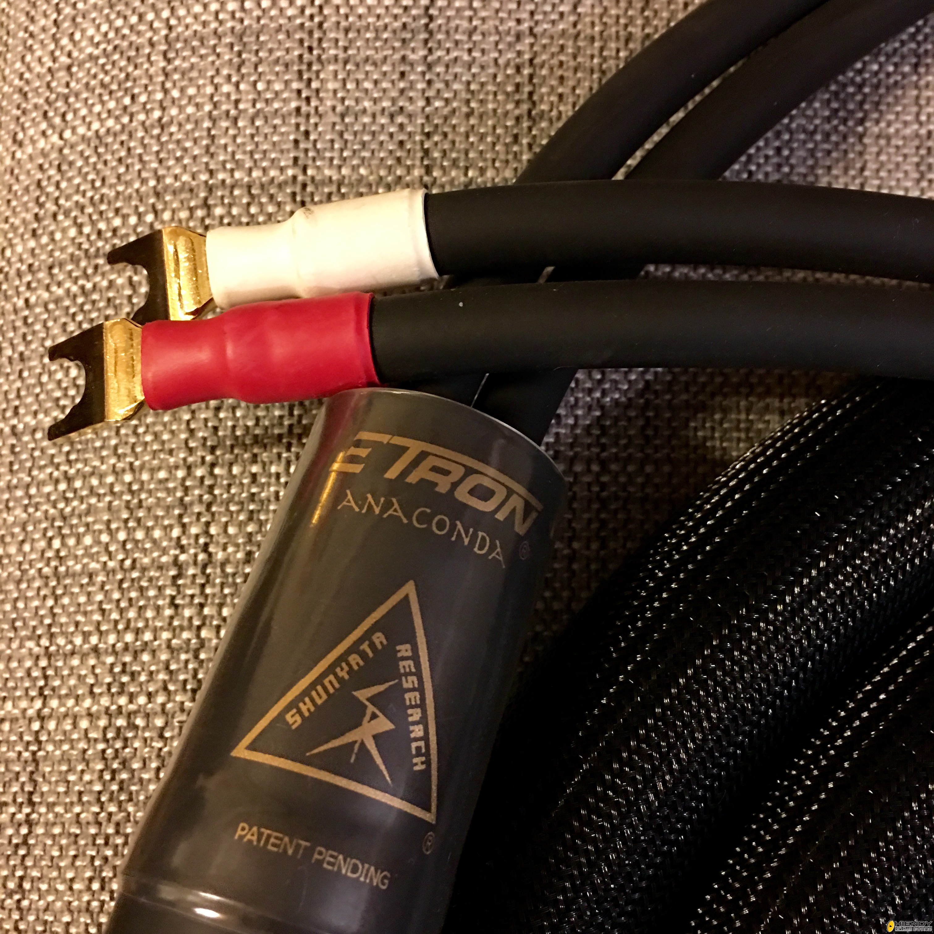zitron anaconda SC.jpeg
