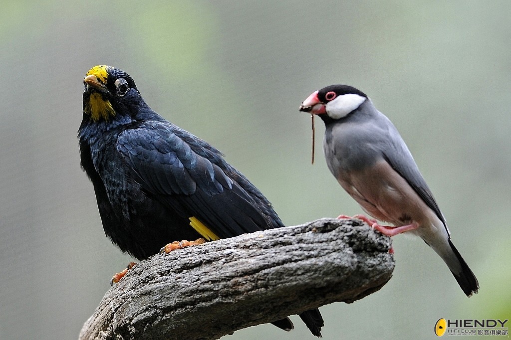 conew_ccw_0236.jpg