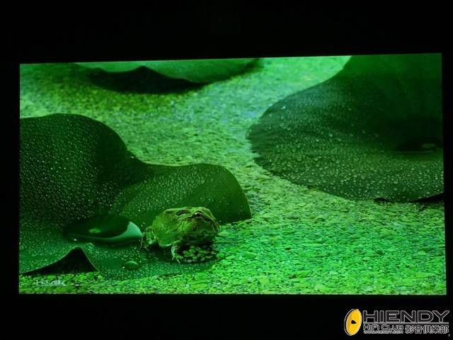 15910057_10154871144156796_2043351795_n.JPG