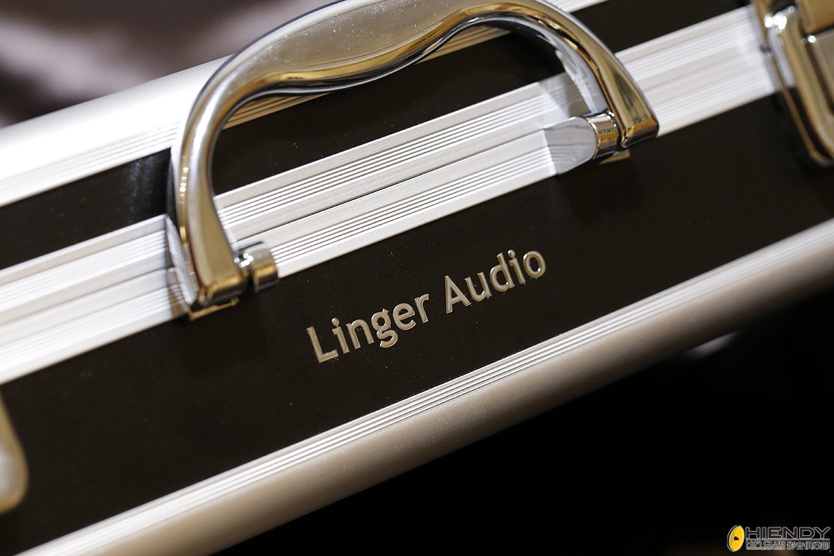 Apodidae packing 2 small.jpg