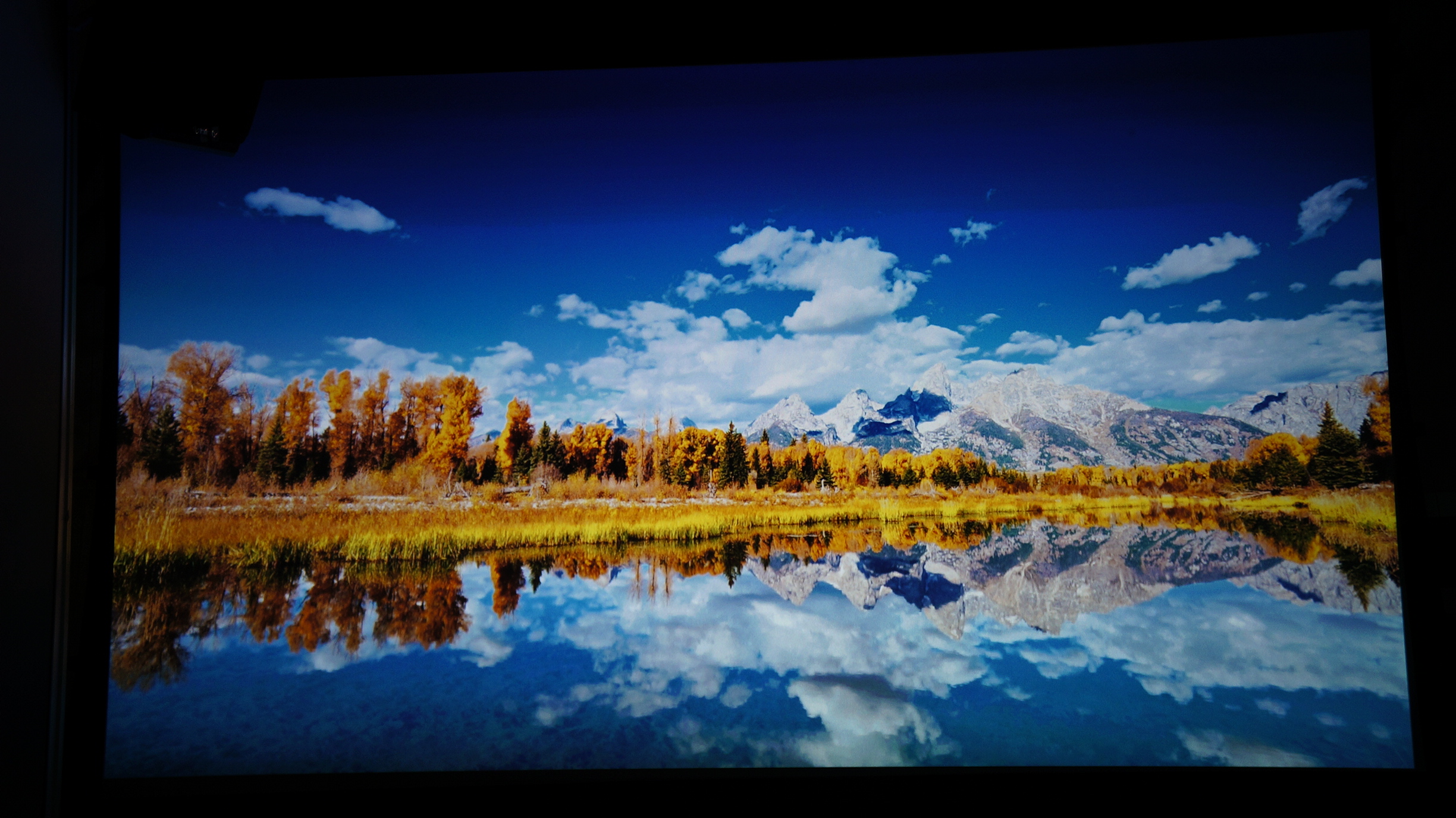 _DSC3299.JPG
