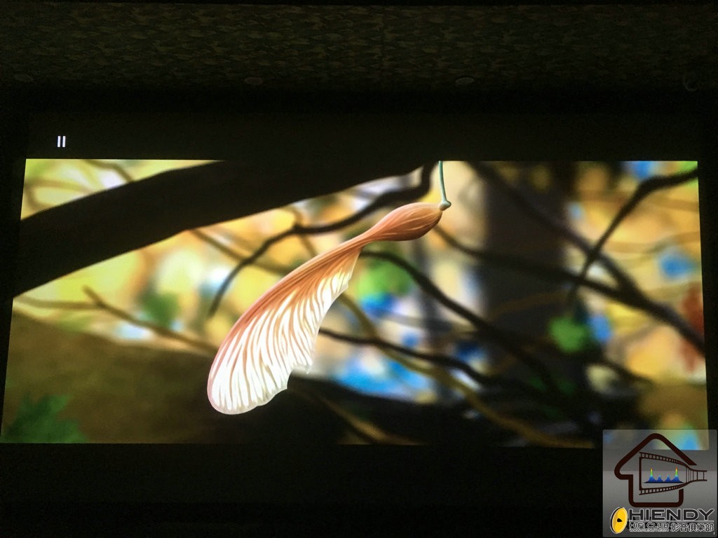 杜比全景声第三版飘叶子.jpg