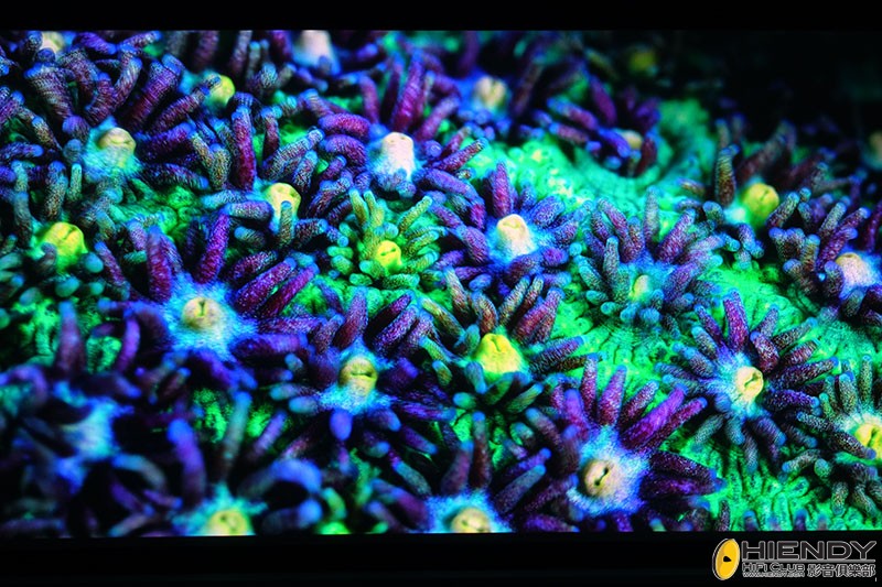 4K HDR