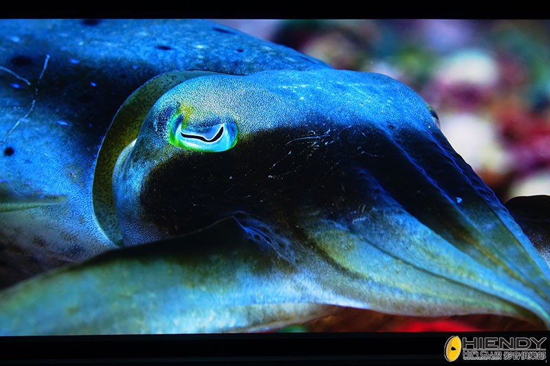 4K HDR