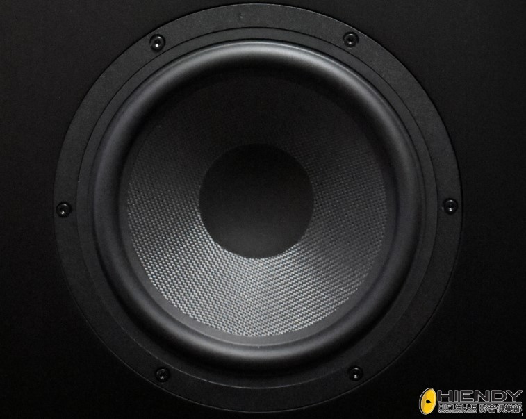IW8 woofer.jpg