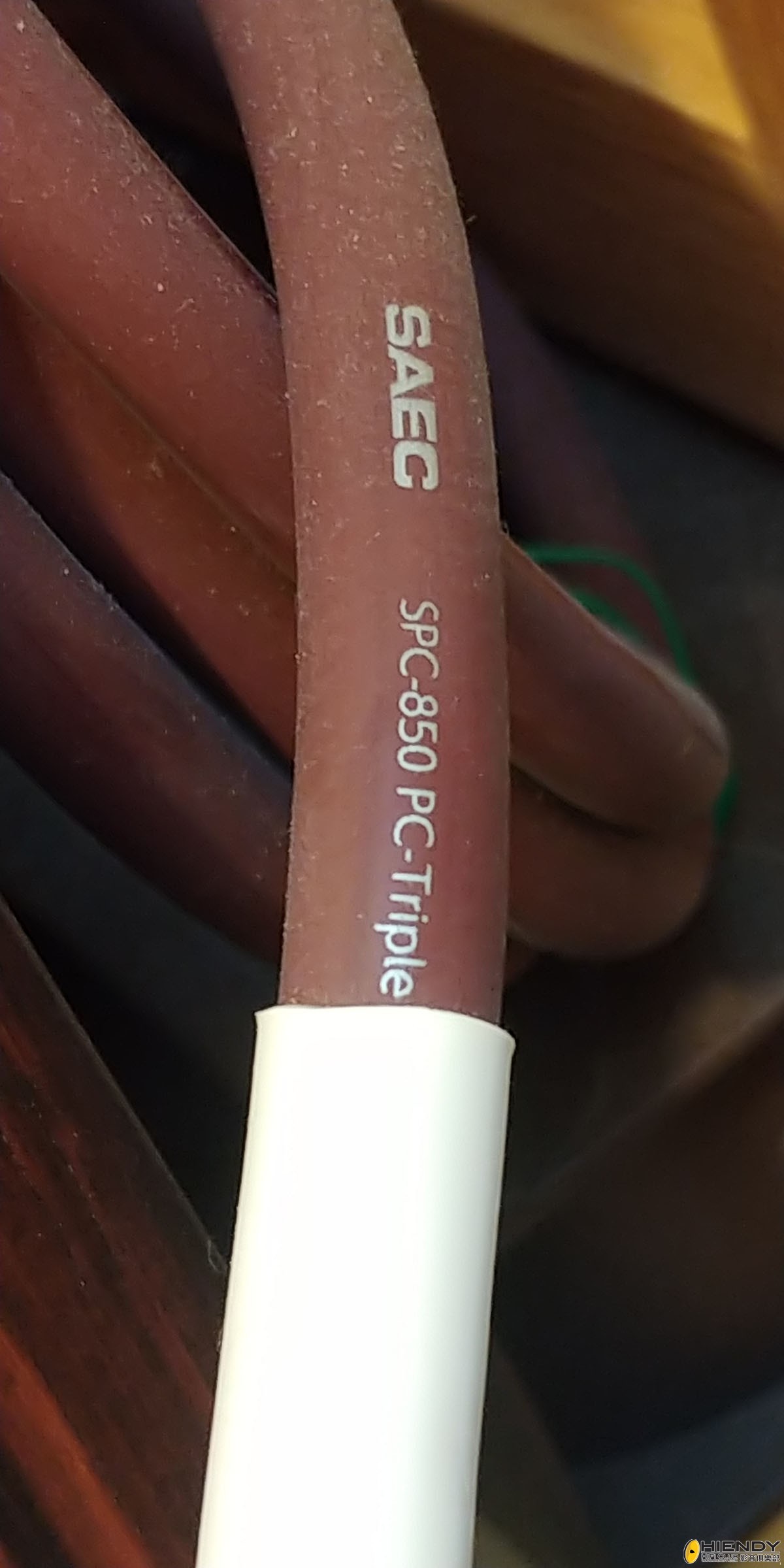 saec.jpg