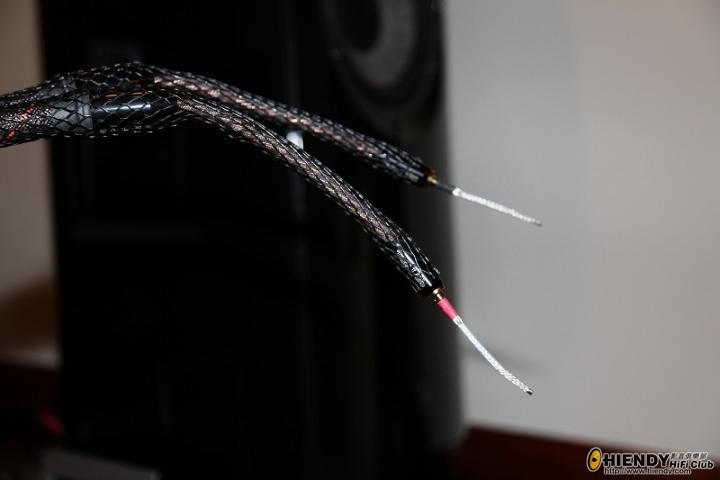 tara-024s.JPG