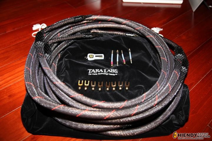 tara-016s.JPG