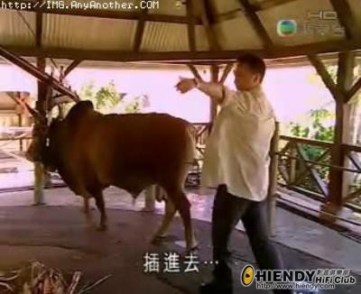 插進去….jpg