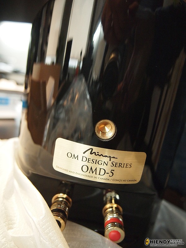 ODM5-7.jpg