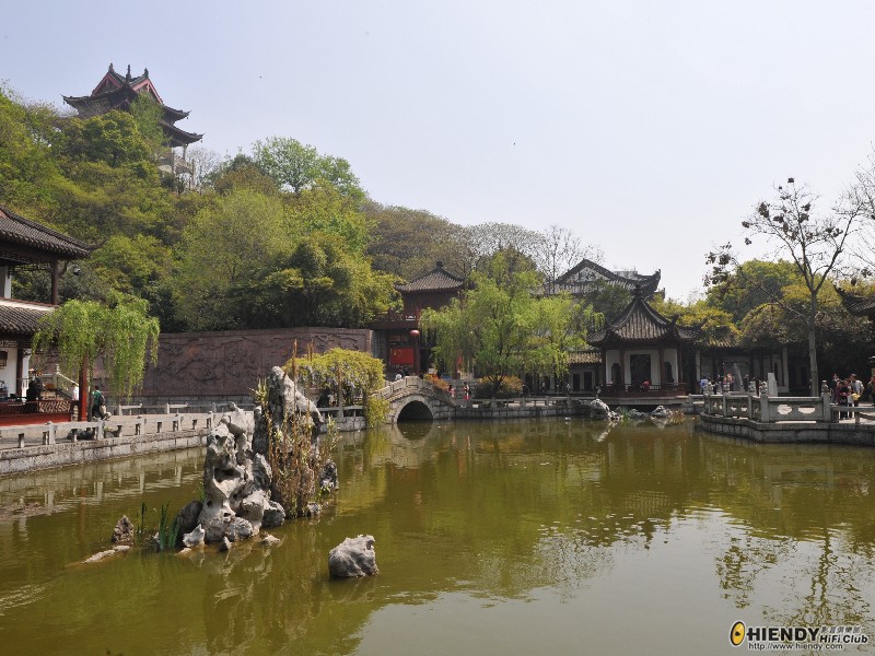 DSC_6634.jpg